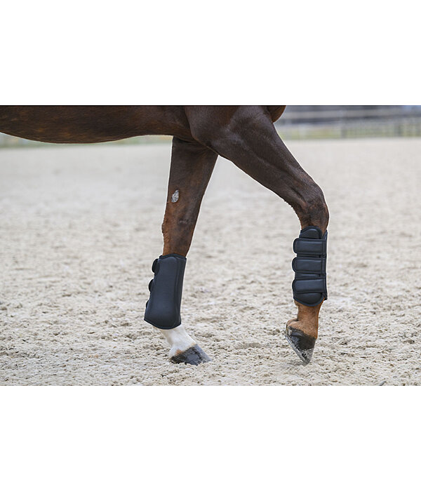 Gu�tres de dressage  All Day ant�rieurs