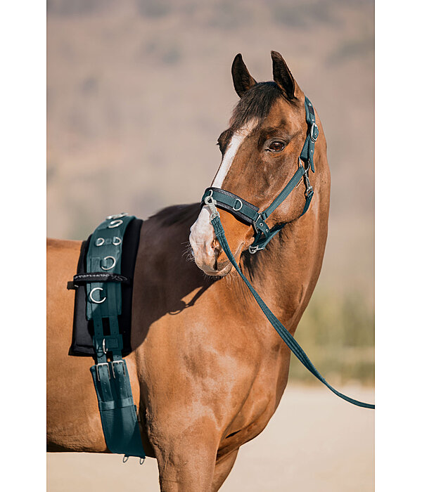 Licol de travail  Freedom