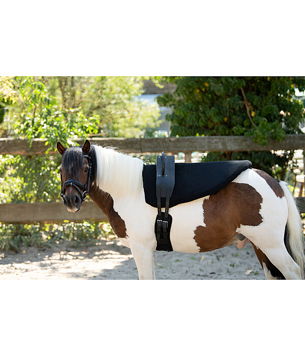 Surfaix de voltige  Entrance