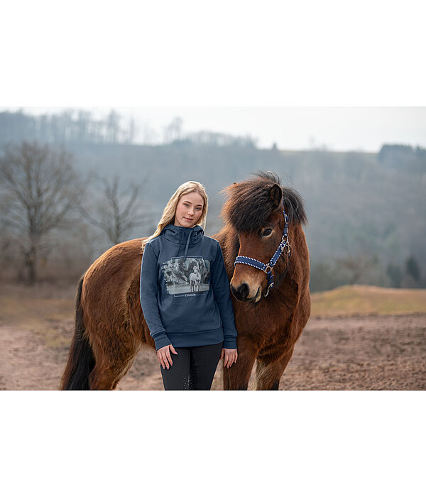 Pull  capuche  Jondis