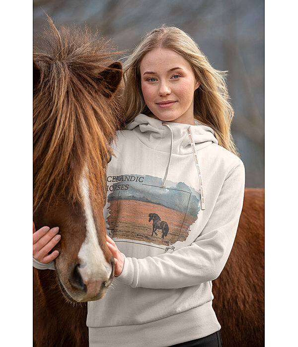 Pull  capuche  Jondis