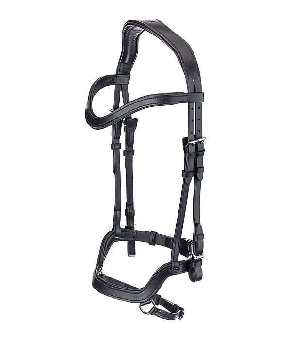 Bridon anatomique  Linur