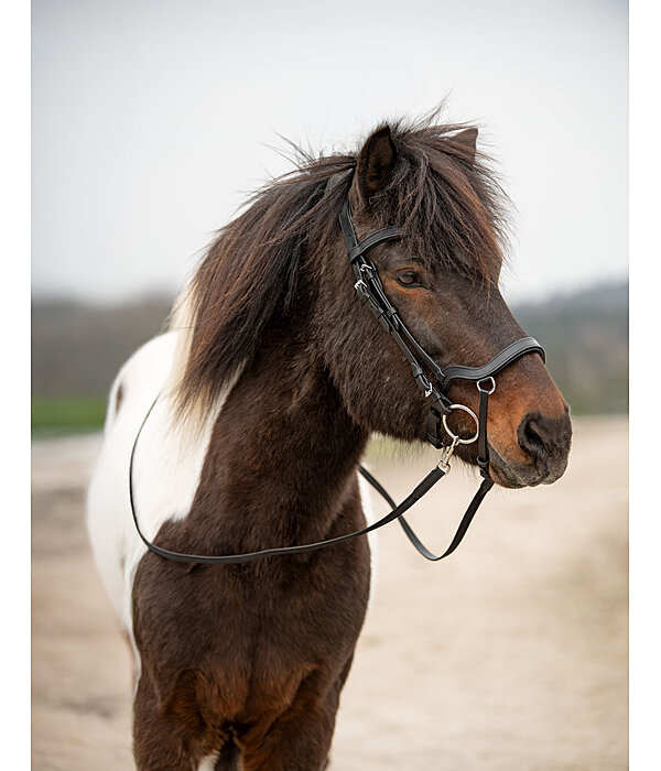 Bridon anatomique  Linur