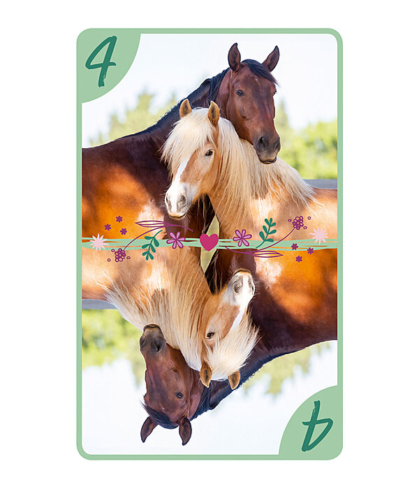 8 amricain  Amis des chevaux