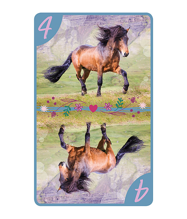 8 amricain  Amis des chevaux