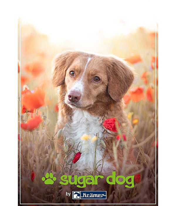 Bon cadeau  imprimer