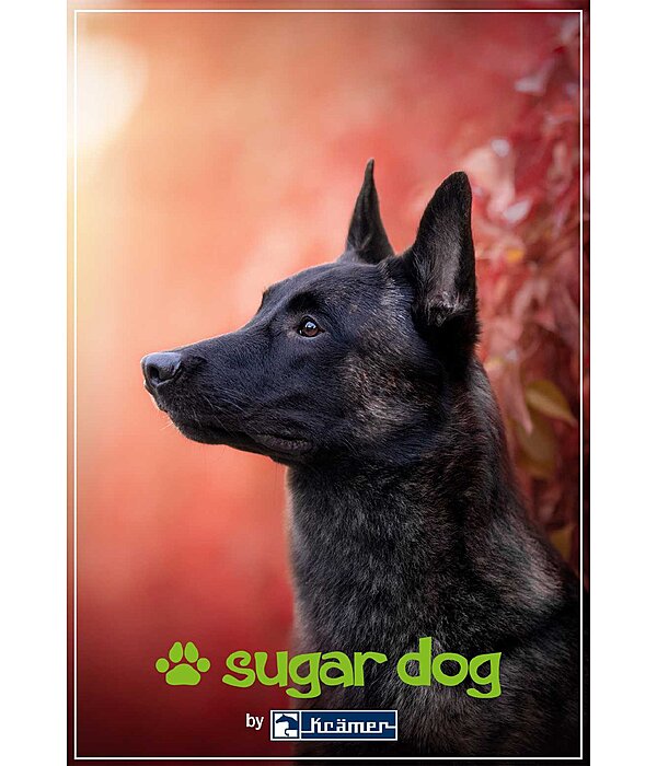 Bon cadeau � imprimer