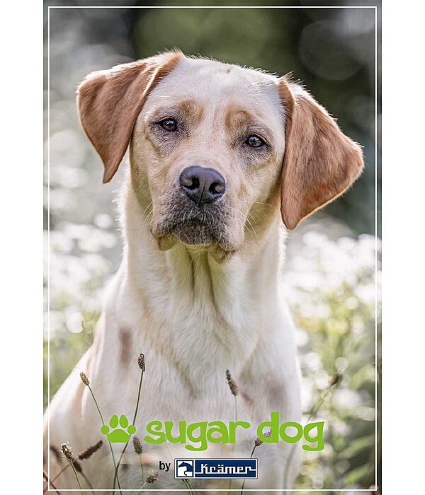 Bon cadeau � imprimer